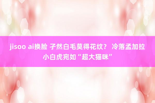 jisoo ai换脸 孑然白毛莫得花纹？ 冷落孟加拉小白虎宛如“超大猫咪”