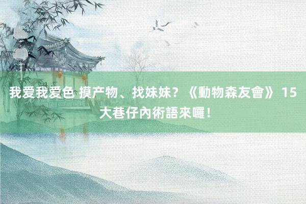 我爱我爱色 摸产物、找妹妹？《動物森友會》 15 大巷仔內術語來囉！