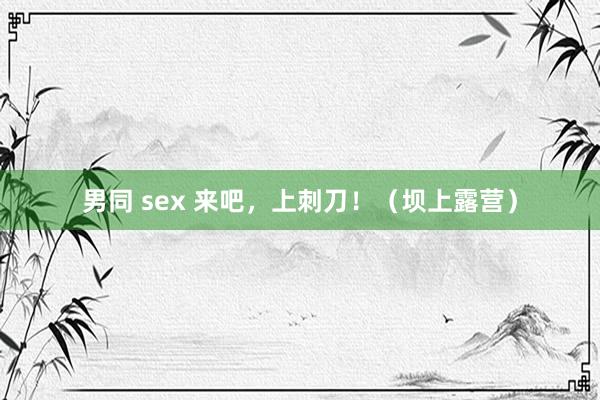 男同 sex 来吧,上刺刀!(坝上露营)