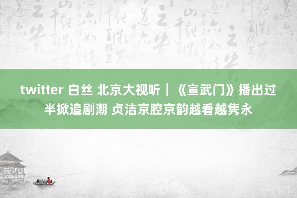 twitter 白丝 北京大视听｜《宣武门》播出过半掀追剧潮 贞洁京腔京韵越看越隽永