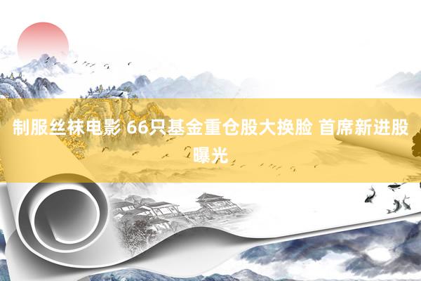 制服丝袜电影 66只基金重仓股大换脸 首席新进股曝光