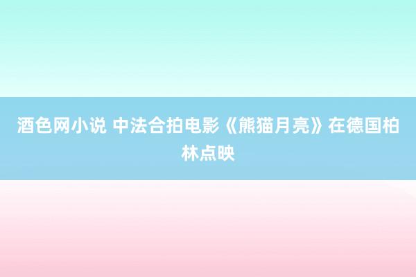 酒色网小说 中法合拍电影《熊猫月亮》在德国柏林点映
