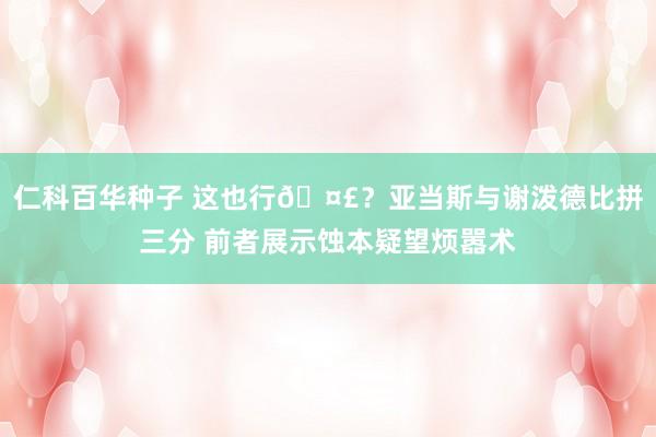 仁科百华种子 这也行🤣？亚当斯与谢泼德比拼三分 前者展示蚀本疑望烦嚣术