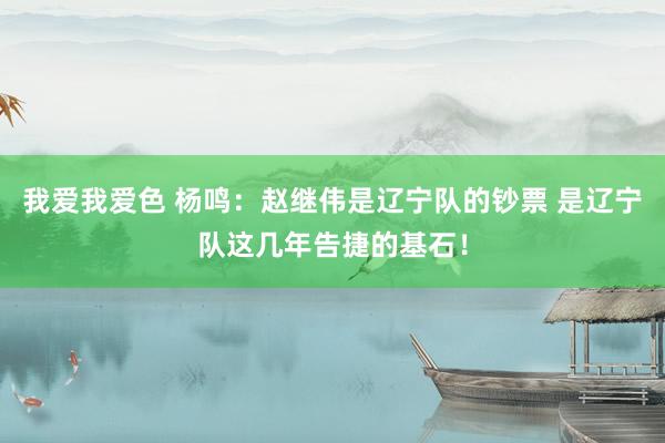 我爱我爱色 杨鸣：赵继伟是辽宁队的钞票 是辽宁队这几年告捷的基石！
